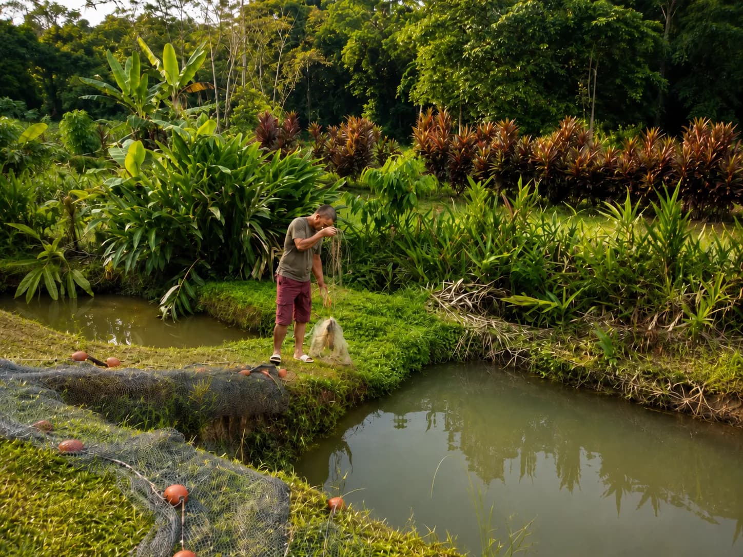 Aquaculture