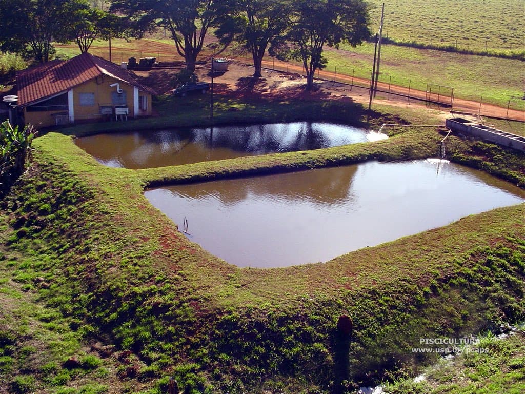 Aquaculture