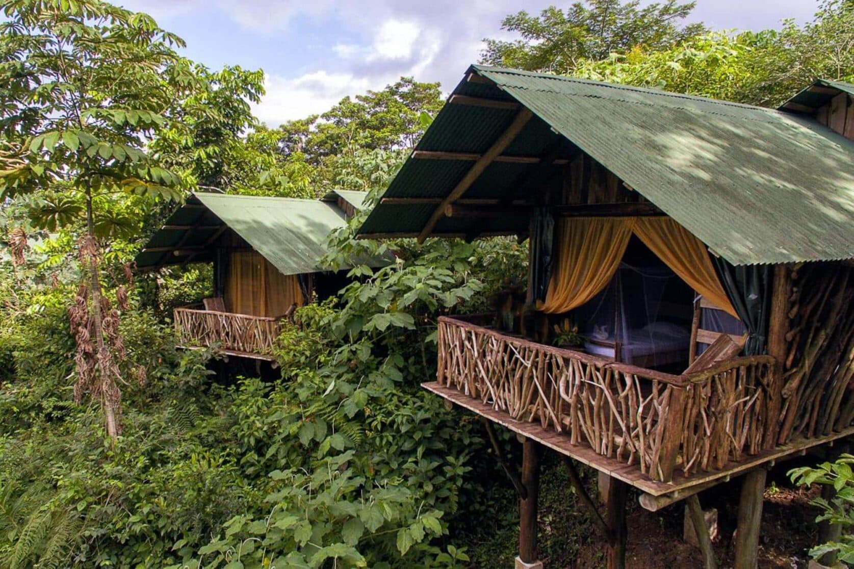 Accommodation