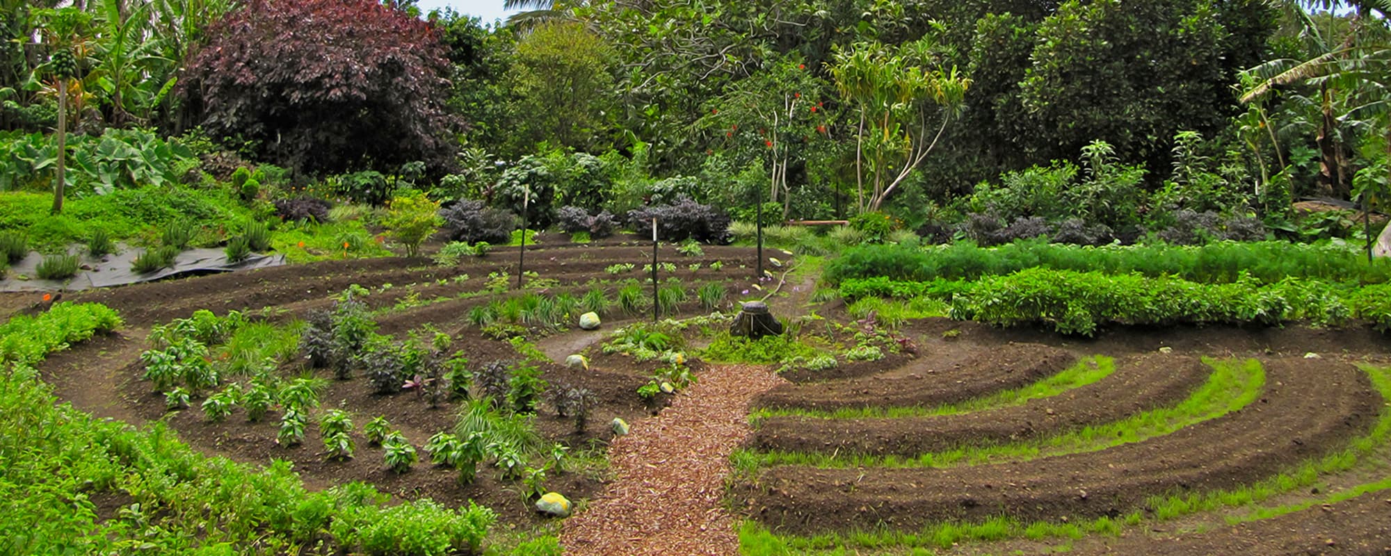 Permaculture